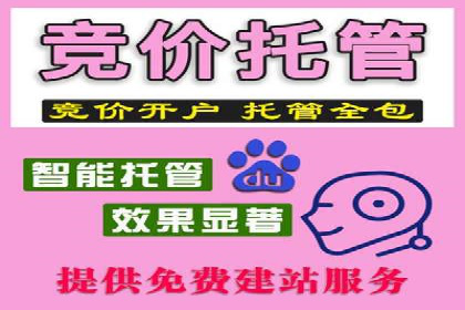 竞价广告与自然搜索的结合策略：XX网站的案例分析