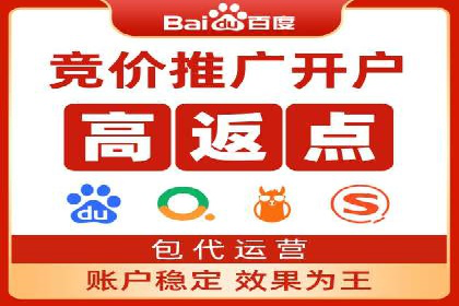 SEM运营推广助力行业领导地位